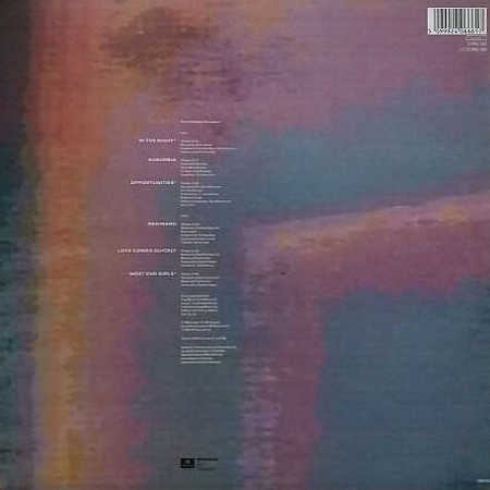 Pet Shop Boys - Disco винил