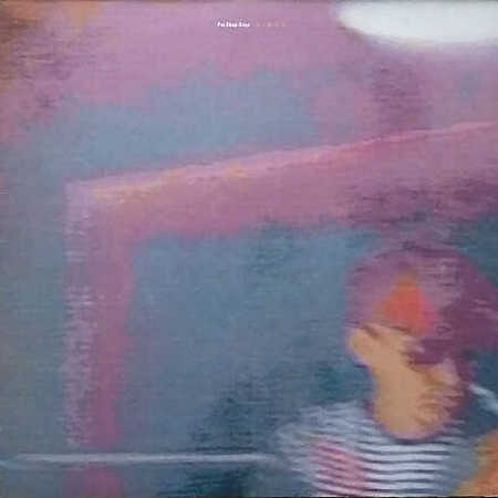 Pet Shop Boys - Disco lp