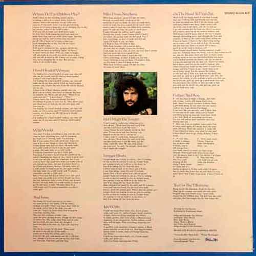 Cat Stevens, Tea For The Tillerman, Vinyl, LP, купити вінілові платівки, vinyl album, album LP