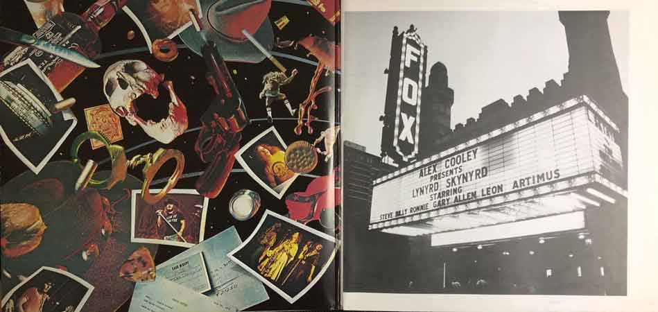 Lynyrd Skynyrd, One More From The Road, Vinyl, LP, lp vinyl album, album