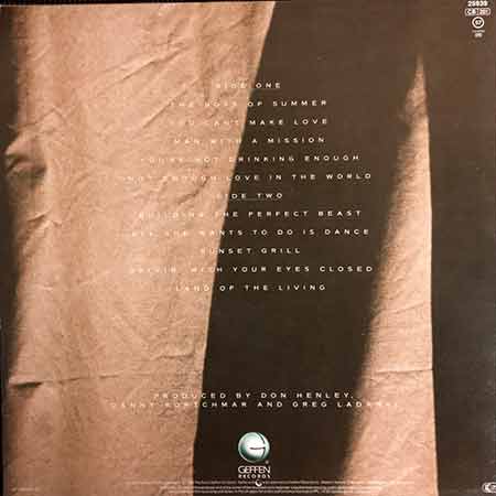 Don Henley, Building The Perfect Beast, Vinyl, LP, lp vinyl album, album