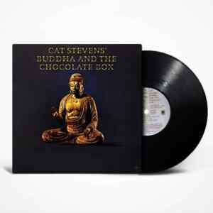 Cat Stevens, Buddha And The Chocolate Box, Vinyl, LP, lp vinyl album, album