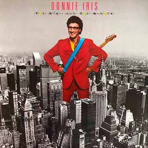 Donnie Iris & The Cruisers, The High And The Mighty, Vinyl, LP, vinyl album, album LP