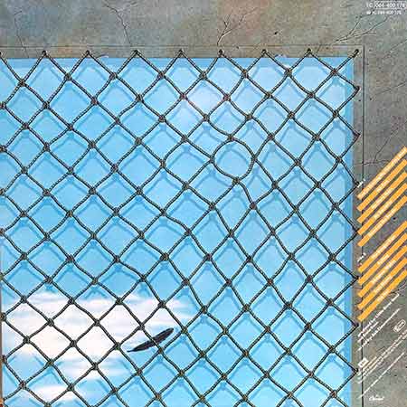 Little River Band, The Net. Vinyl, LP, vinyl album, album LP