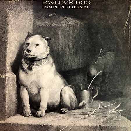 Pavlov's Dog, Pampered Menia, Vinyl, LP, магазин вінілових платівок, Україна, Одеса