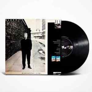 Black, Wonderful Life, Vinyl, LP, купить виниловые пластинки, б/у, магазин виниловых пластинок, Киев