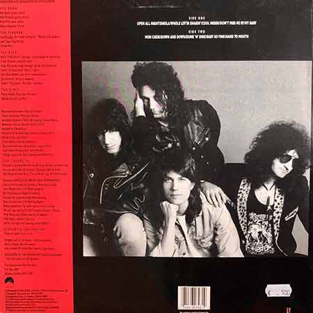 The Georgia Satellites, Open All Night, Vinyl, LP, купити вінілові пластинки, київ, б/в, магазин вінілових пластинок