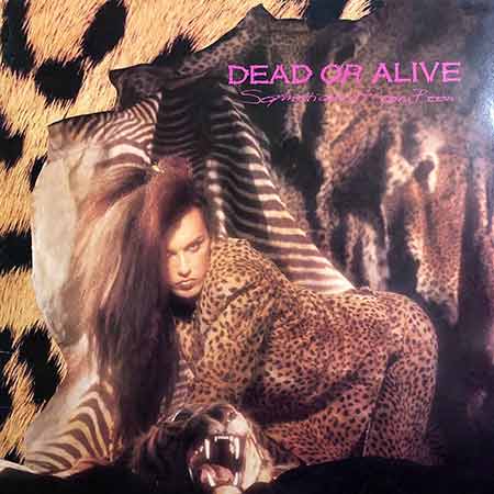 Dead Or Alive, Sophisticated Boom Boom, Vinyl, LP, купити вінілові пластинки, київ, б/в, магазин вінілових пластинок
