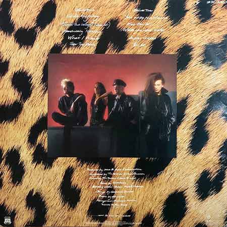 Dead Or Alive, Sophisticated Boom Boom, Vinyl, LP, купити вінілові пластинки, київ, б/в, магазин вінілових пластинок