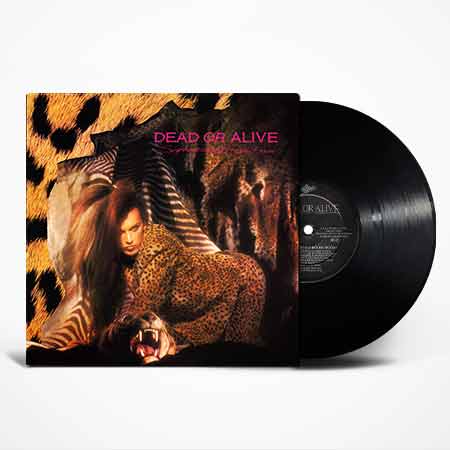 Dead Or Alive, Sophisticated Boom Boom, Vinyl, LP, купити вінілові пластинки, київ, б/в, магазин вінілових пластинок