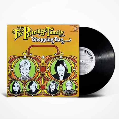 The Partridge Family, Shopping Bag, Vinyl, LP, виниловые пластинки купить, Київ, б/у платівки, магазин вінілових платівок