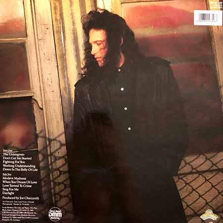 Robert Tepper, Modern Madness, Vinyl, LP, вінілові платівки купити Україна, Київ, б/в платівки, магазин вінілових платівок