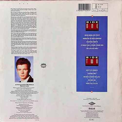 Rick Astley, Whenever You Need Somebody, Vinyl, LP, вінілові платівки купити Україна, Київ, б/в платівки, магазин вінілових платівок