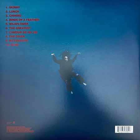 Billie Eilish - Hit Me Hard And Soft Vinyl LP ⭐ Вінілова платівка