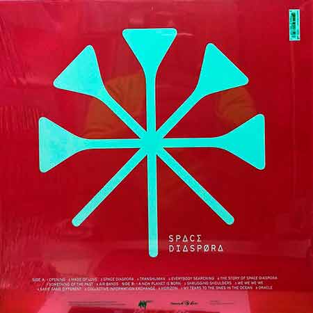 Oy, Space Diaspora, Vinyl, LP, вінілові платівки купити Україна, Київ, б/в платівки, магазин вінілових платівок