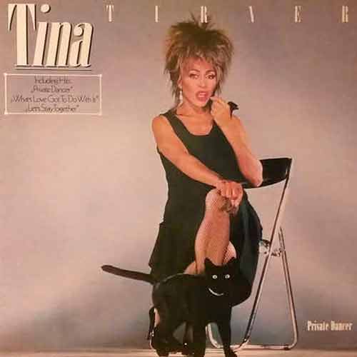 Tina Turner - Private Dancer Vinyl, LP, магазин вінілових платівок, бу, Київ, купити вінілові платівки