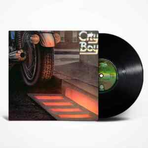 City Boy - The Day The Earth Caught Fire Vinyl, LP, вінілові платівки купити Україна, Київ, б/в платівки, магазин вінілових платівок