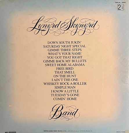 Lynyrd Skynyrd - Gold & Platinum Vinyl, LP, вінілові платівки купити Україна, Київ, б/в платівки, магазин вінілових платівок