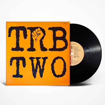 Tom Robinson Band - TRB Two Vinyl, LP, вінілові платівки купити Україна, Київ, б/в платівки, магазин вінілових платівок