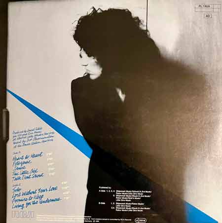 Ellen Shipley - Breaking Through The Ice Age vinyl, LP, вінілові платівки купити Україна, Київ, б/в платівки, магазин вінілових платівок